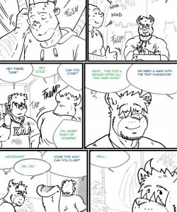 Choices - Autumn 036
