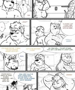 Choices - Autumn 076