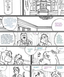 Choices - Autumn 077