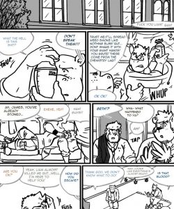 Choices - Autumn 096