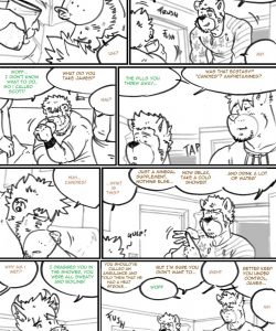 Choices - Autumn 239