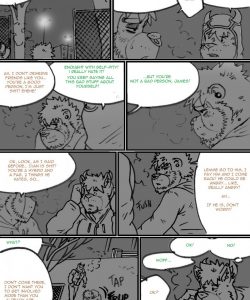 Choices - Autumn 332