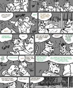 Choices - Autumn 338
