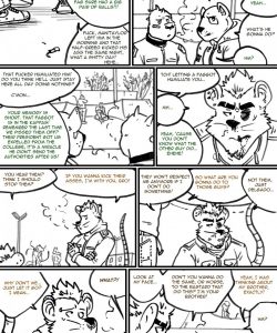 Choices - Autumn 347