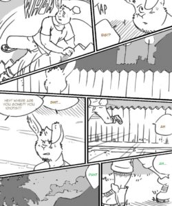 Choices - Summer 080