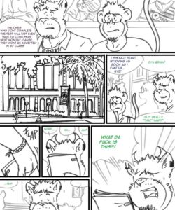 Choices - Summer 229