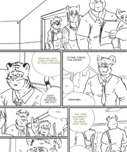 Choices - Summer 267
