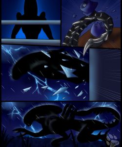 Dark Nights 011