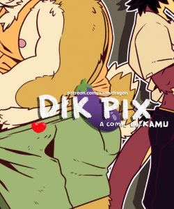 Dik Pix