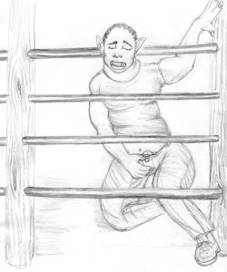 Pig Transformation 019