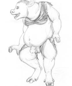 Pig Transformation 023