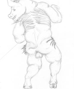 Pig Transformation 024