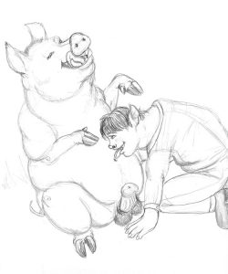 Pig Transformation 034