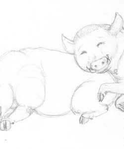 Pig Transformation 045