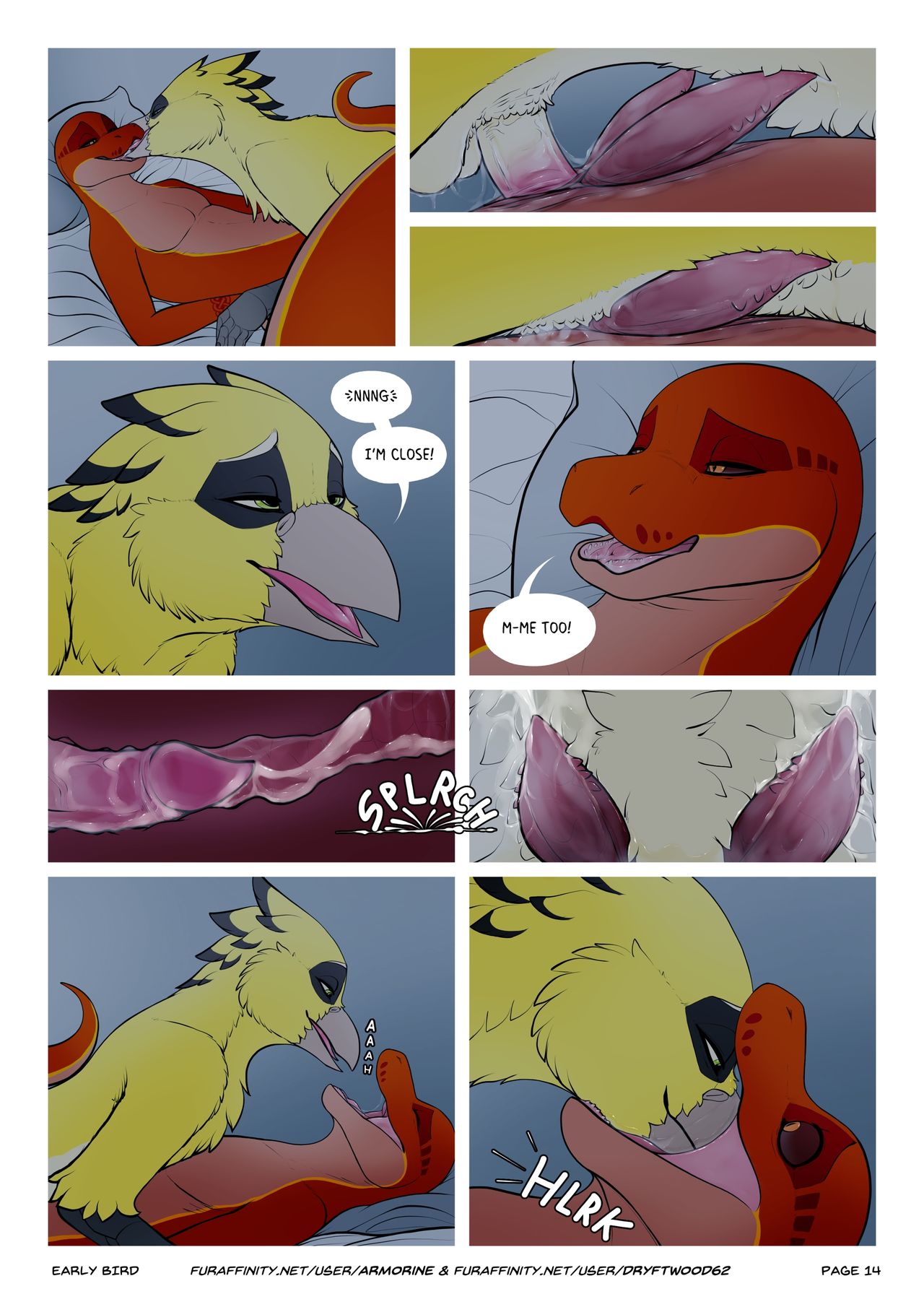 Early Bird 014
