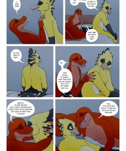 Early Bird 015