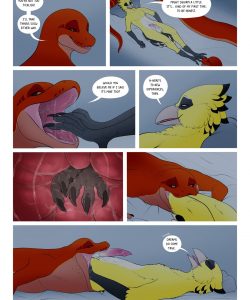 Early Bird 016