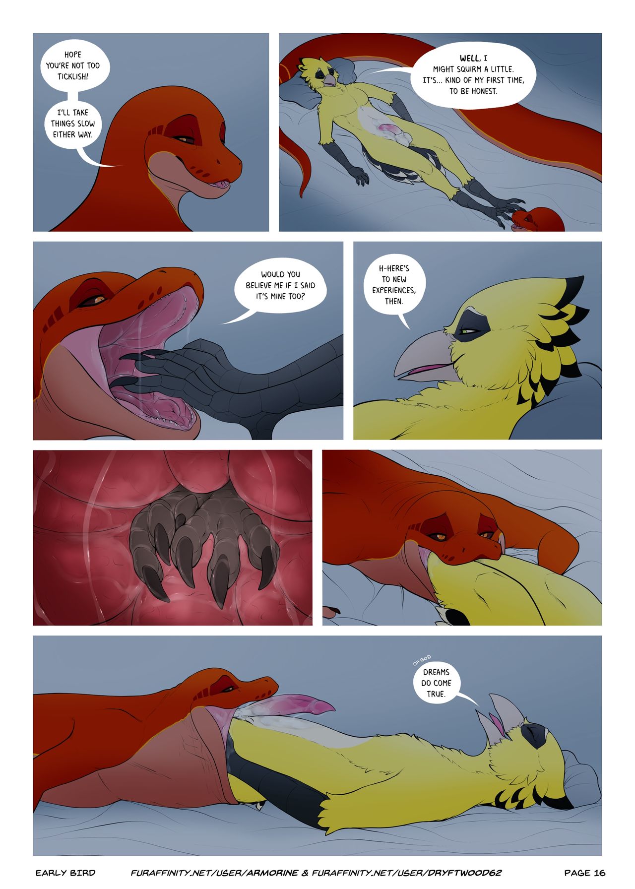 Early Bird 016