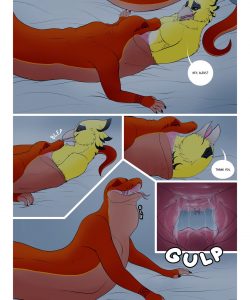 Early Bird 017