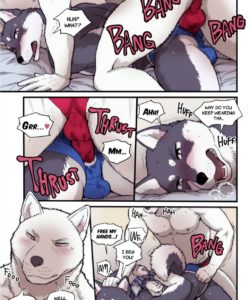 Elephant Night 012
