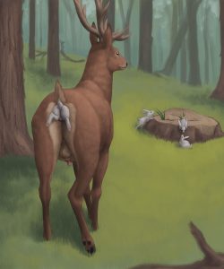 Rabbit Season 003
