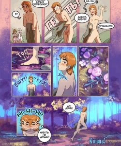 Fairy Ring 018