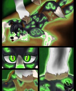 Paw Play 002