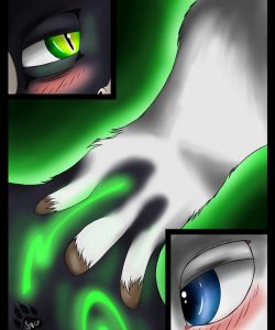 Paw Play 003