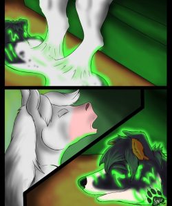 Paw Play 005