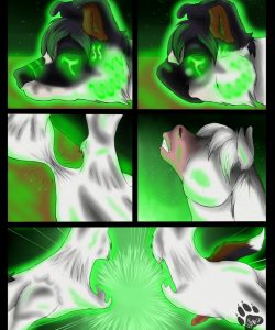 Paw Play 007