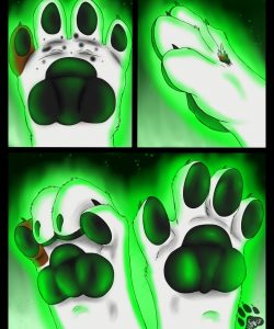 Paw Play 011