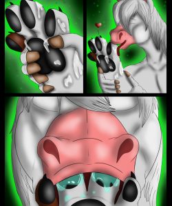 Paw Play 016
