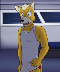 Fox And Wolf 002