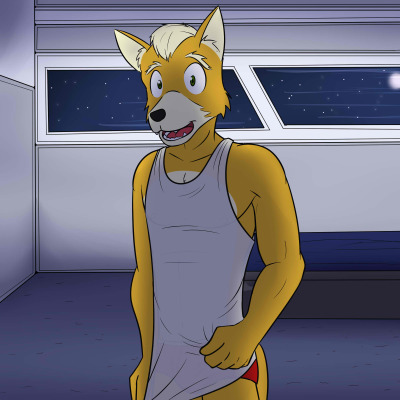 Fox And Wolf 002