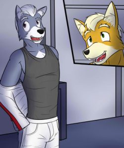 Fox And Wolf 004