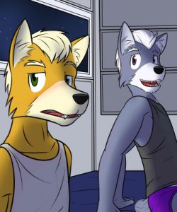 Fox And Wolf 006