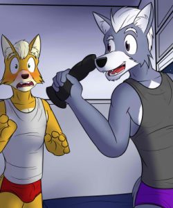 Fox And Wolf 009