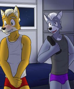 Fox And Wolf 010