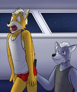 Fox And Wolf 011