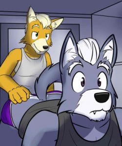 Fox And Wolf 016