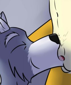 Fox And Wolf 022