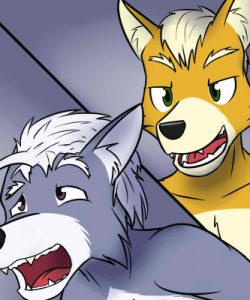 Fox And Wolf 027