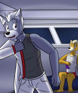 Fox And Wolf 030
