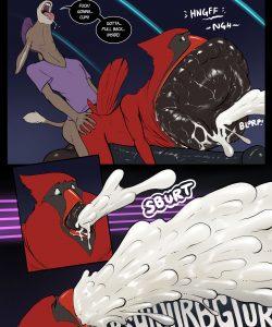 Happy Birdday 038