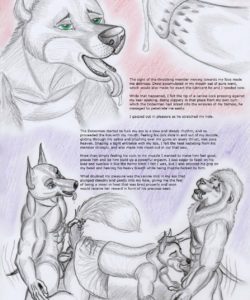 Jack's Dream 004