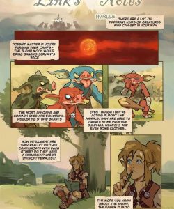 Link's Notes