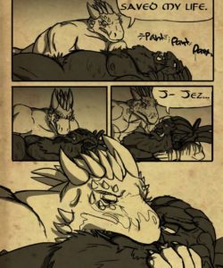 Lover's Comfort 1 046