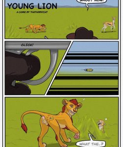 Milking A Young Lion 002