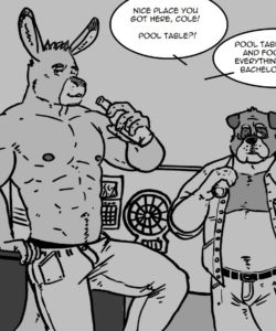 Neighbours 002