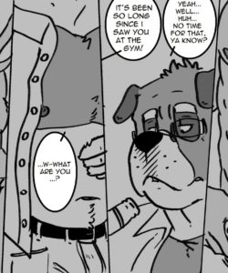 Neighbours 003